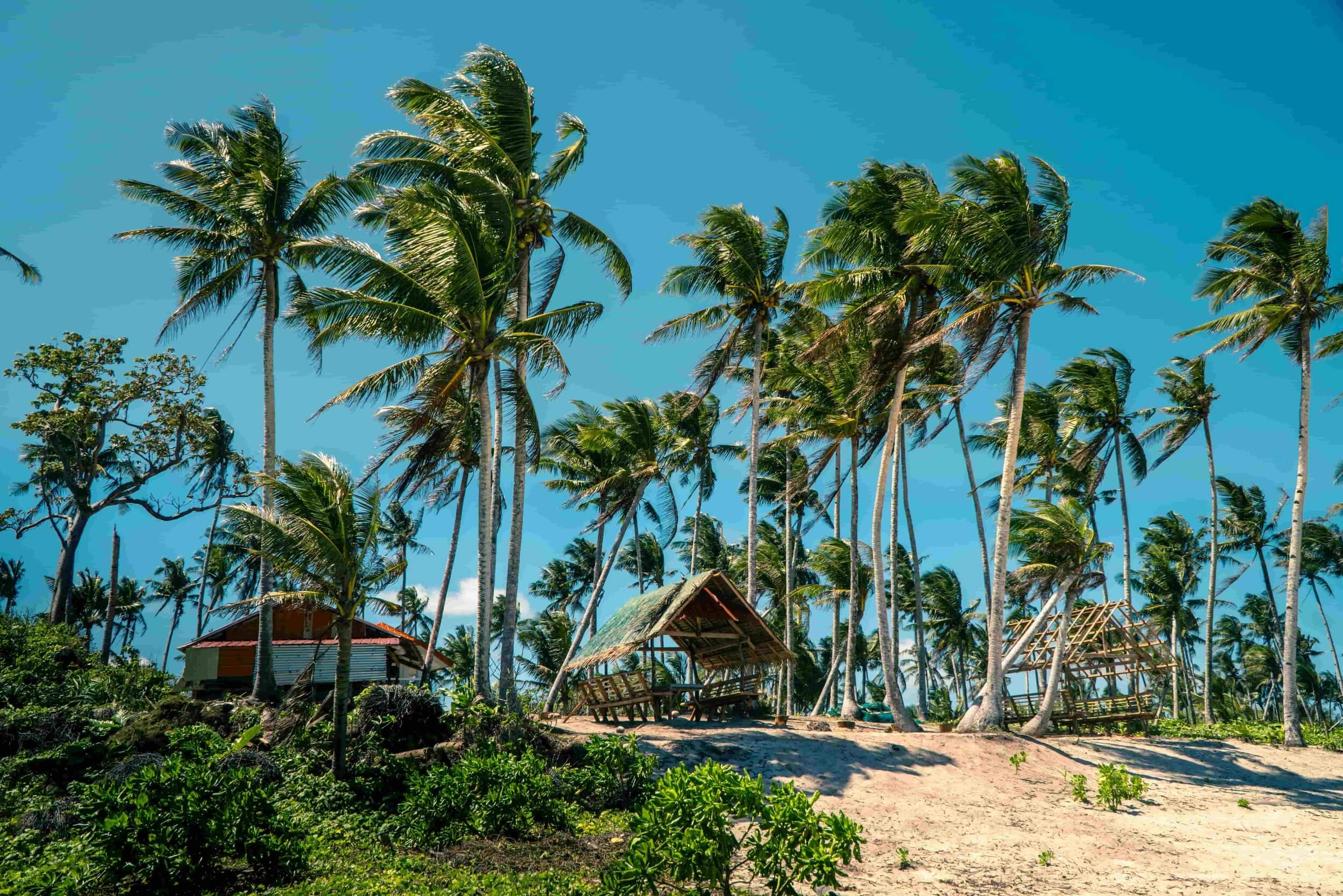Best New Digital Nomad Destination in 2025