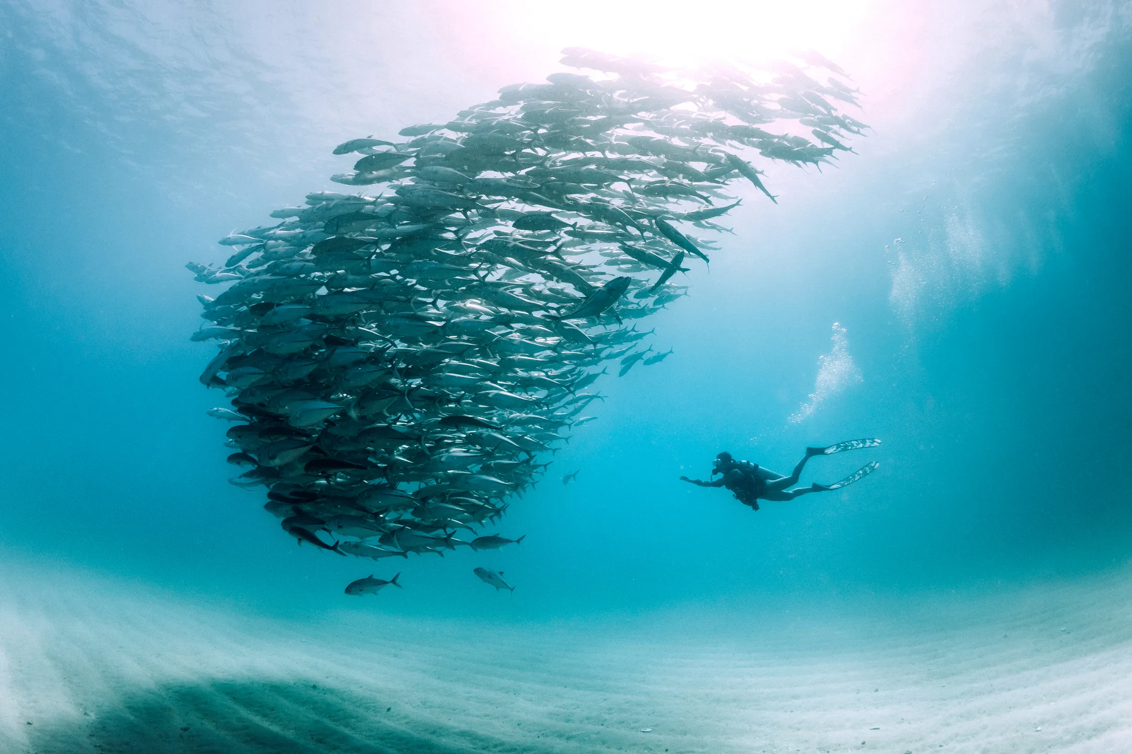 The complete guide to adventure travel